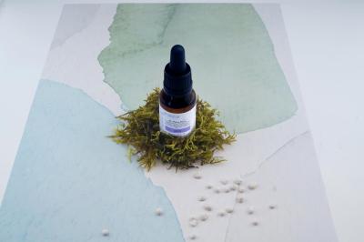 Vorschau des Gutschein-Designs 