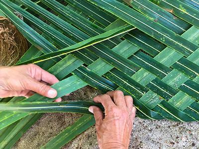 Preview of voucher design 