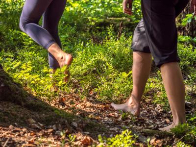 Vorschau des Gutschein-Designs 