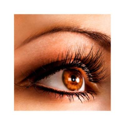 Vorschau des Gutschein-Designs 