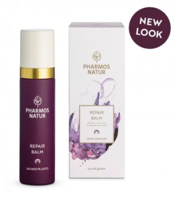 Vorschau des Gutschein-Designs 