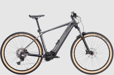 Vorschau des Gutschein-Designs 