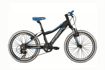 Vorschau des Gutschein-Designs 