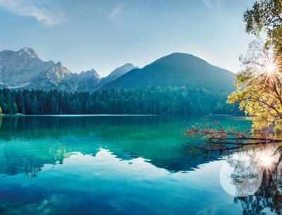 Vorschau des Gutschein-Designs 