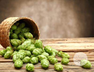 Vorschau des Gutschein-Designs 