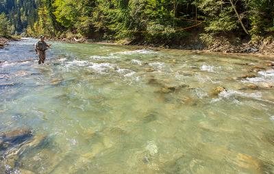 Vorschau des Gutschein-Designs 