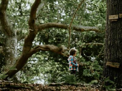 Vorschau des Gutschein-Designs 