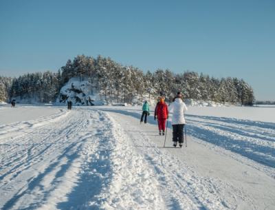 Preview of voucher design 