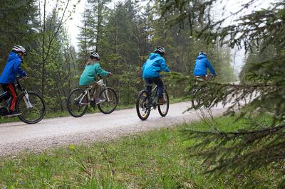 Vorschau des Gutschein-Designs 